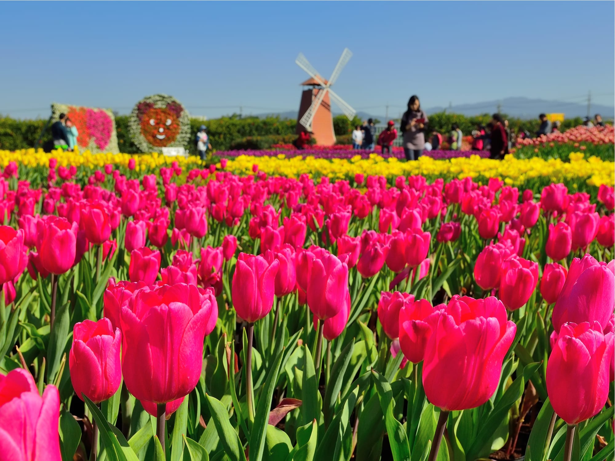 Taichung Private Tour With Zhongshe Flower Market And Rainbow Village