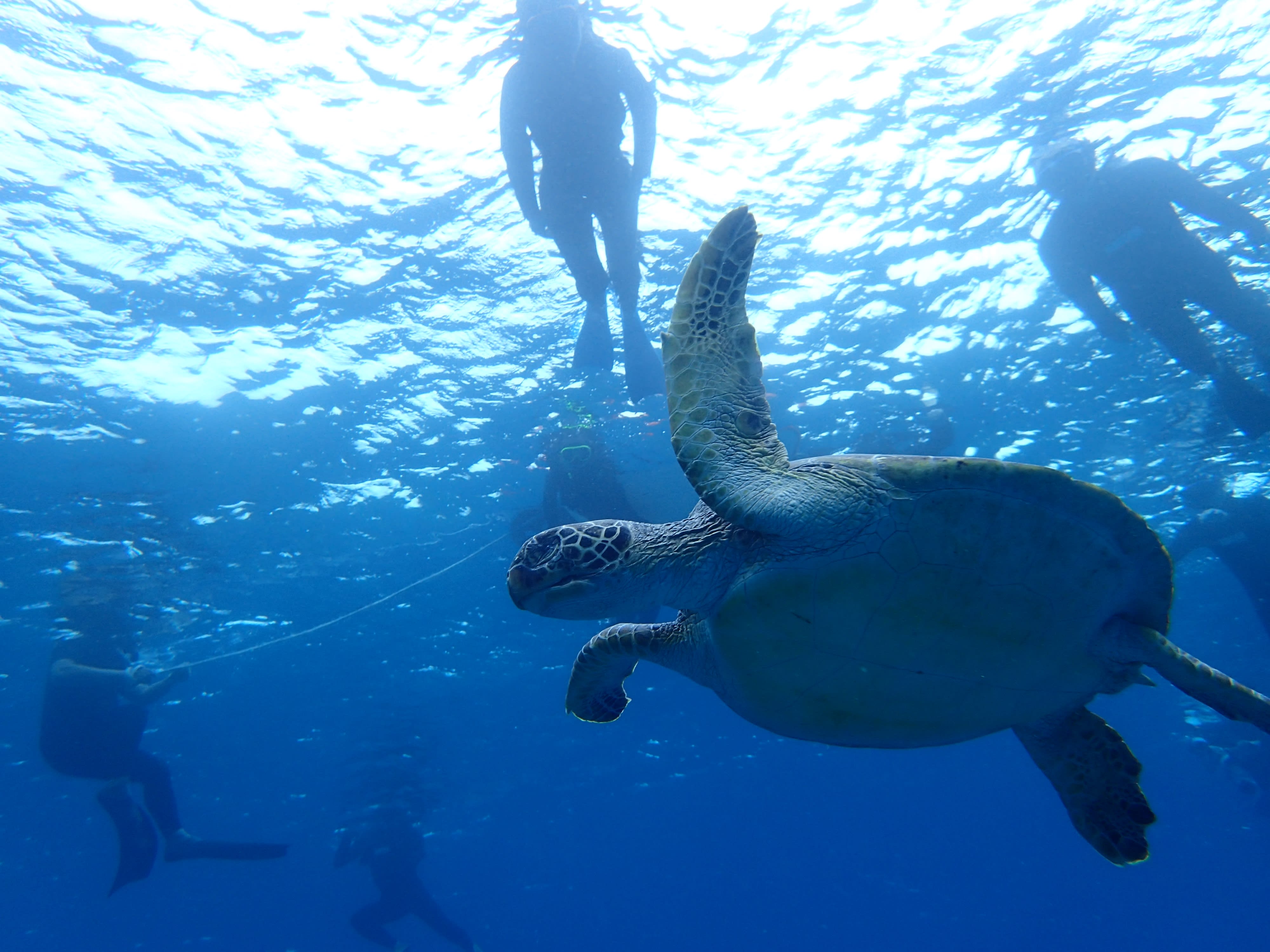 Kerama Islands Snorkeling Tour Desert Island Beach Fun From Naha