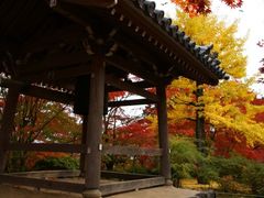 Kyoto autumn foliage