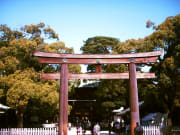 Torii gate at a shrine entrance in Tokyo