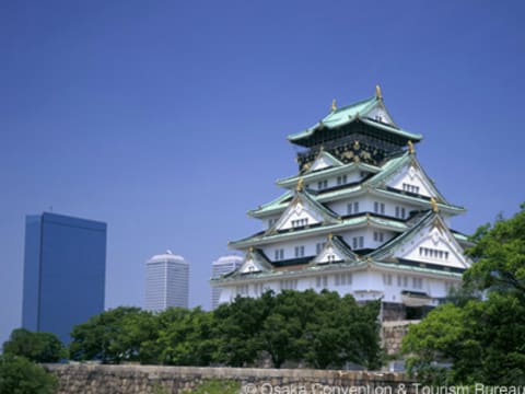 1 Day Osaka Walking Tour With Osaka Castle Umeda Sky Bldg - 