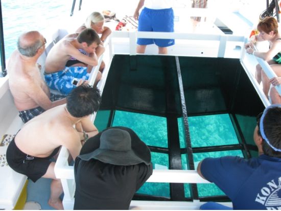 ハワイ島 グラストムクルーズ　濡れずに楽しめるマリンアクティビティ！小さなお子様も参加可能＜ワイコロア発／英語ガイド＞