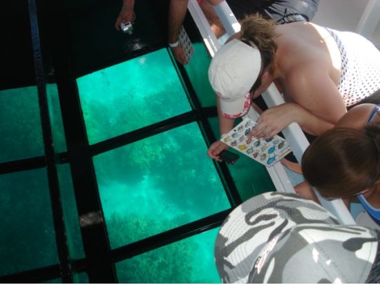 ハワイ島 グラストムクルーズ　濡れずに楽しめるマリンアクティビティ！小さなお子様も参加可能＜ワイコロア発／英語ガイド＞