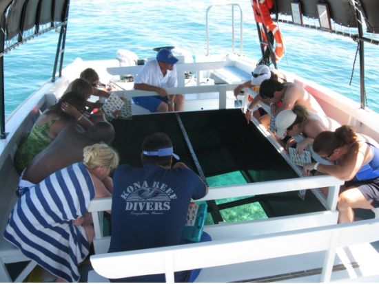 ハワイ島 グラストムクルーズ　濡れずに楽しめるマリンアクティビティ！小さなお子様も参加可能＜ワイコロア発／英語ガイド＞