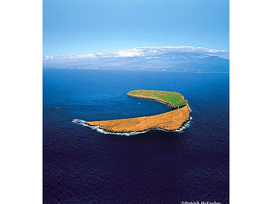 モロキニ島シュノーケリング＆セーリングツアー　グラスボトム完備で海中も楽しめる＜午前／朝食＆昼食付き／英語ガイド＞