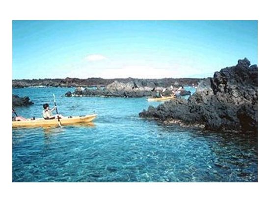 マウイ島　カヤック＆シュノーケリングツアー　水上と水中両方からマウイの海を満喫 ＜英語ガイド＞