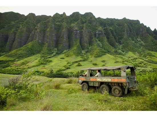 クアロア・ランチ　映画のロケ地巡り、農作物を学ぶ農園ツアー、ジャングル探検ツアーが楽しめる1日満喫パッケージ　ビュッフェランチ付き！＜1日／送迎付きプランあり＞