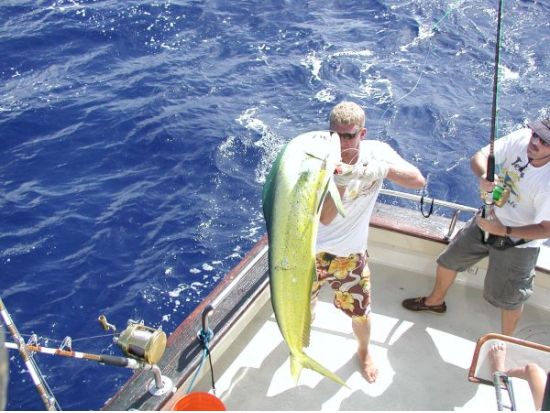 海釣り体験　ホノルル沖でフィッシングクルーズ　大物狙いの本格海釣り！ベテランクルーのサポートで安心　釣り用具付き＜混載／半日～1日／ケワロ湾＞