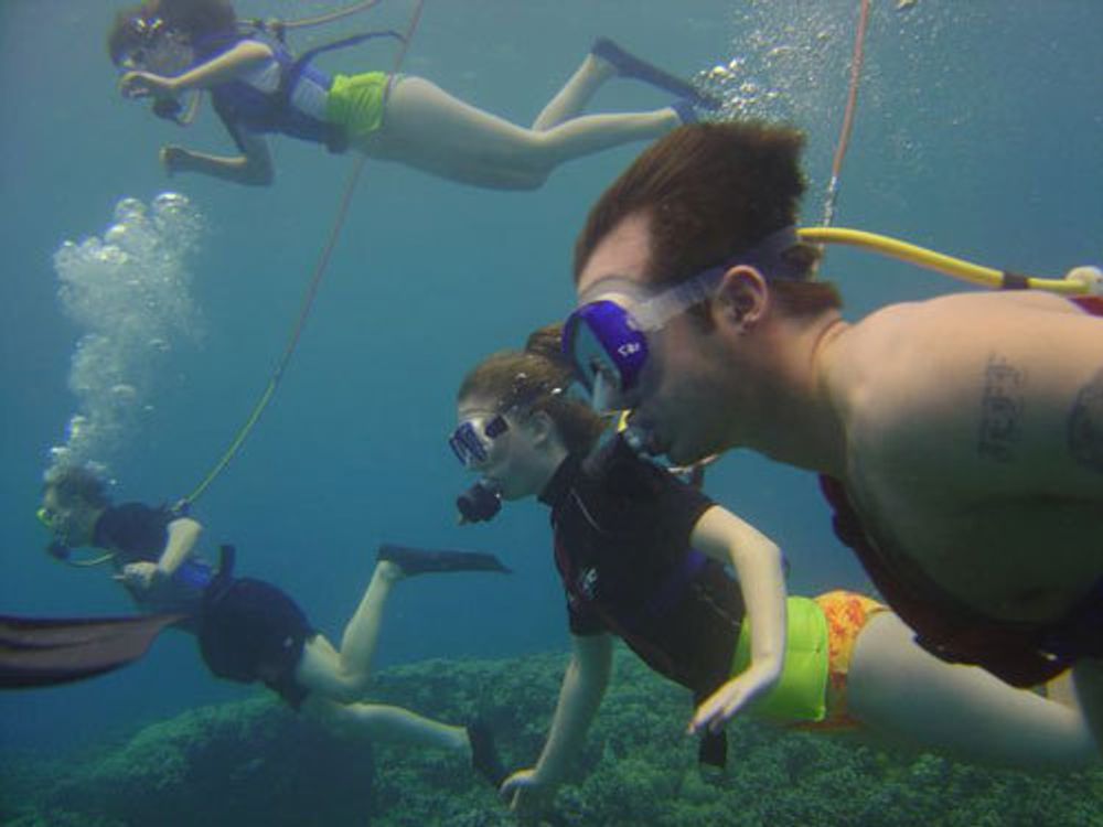 Kona SNUBA Diving Cruise (from Honokohau Harbor) tours, activities, fun