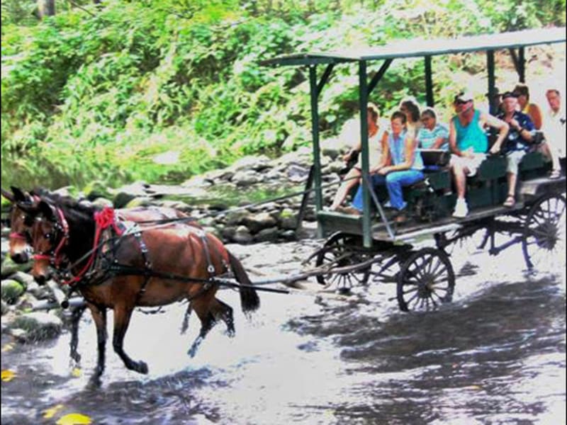 waipio valley wagon tours