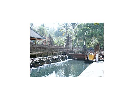 【貸切】バリ文化と自然を満喫！ウブド観光＋世界遺産ティルタエンプル寺院＋キンタマーニ高原＋バリ舞踊鑑賞ツアー＜1日／日本語ガイド＞