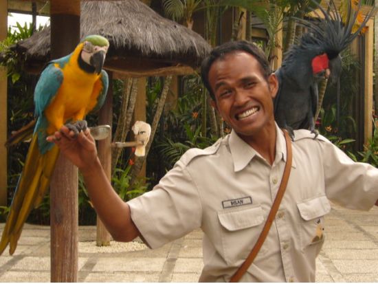 【貸切】世界中の鳥と出会おう！バリ・バードパーク＋世界遺産タマン・アユン寺院＋タナロット寺院の夕日観賞＜午後／日本語ガイド＞