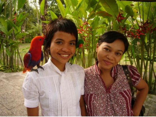 【貸切】世界中の鳥と出会おう！バリ・バードパーク＋世界遺産タマン・アユン寺院＋タナロット寺院の夕日観賞＜午後／日本語ガイド＞