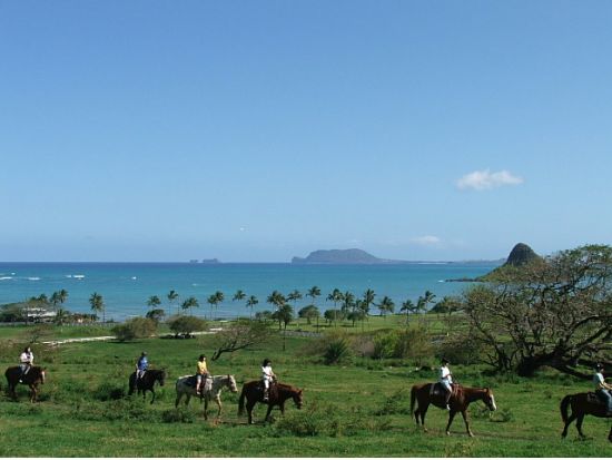 クアロア・ランチ　乗馬体験(2時間)　映画ロケ地にもなった雄大な大自然を馬に乗って満喫！＜送迎付きプランあり＞