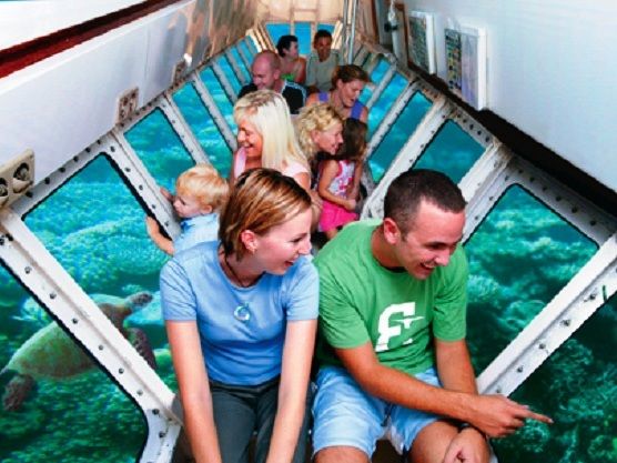 サマーセール グラキリス ベアルート 特大サイズ_2 サマーセール グラキリス ベアルート 特大サイズ_2 サマーセール