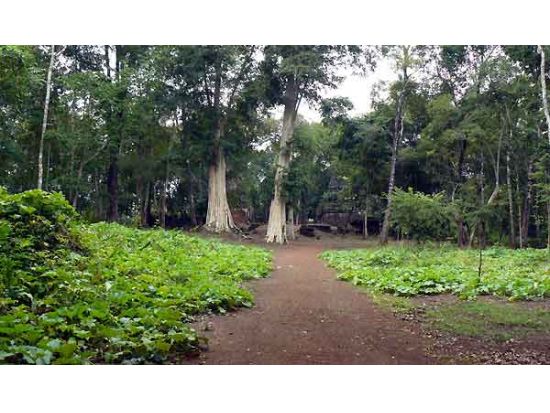 コー・ケー遺跡群　1日チャーターツアー ＜貸切／日本語ガイド／シェムリアップ発＞