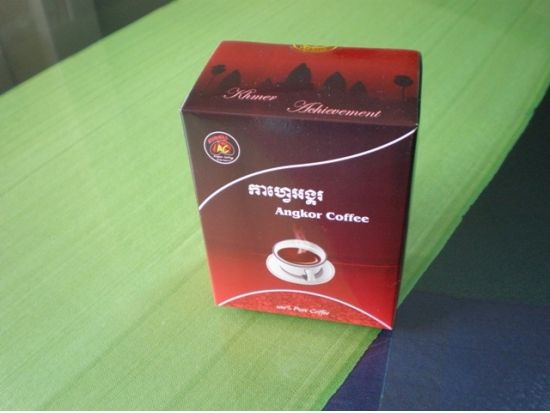 ミニ・アンコールワット半日チャーターツアー ＜日本語ガイド／貸切／プノンペン発＞