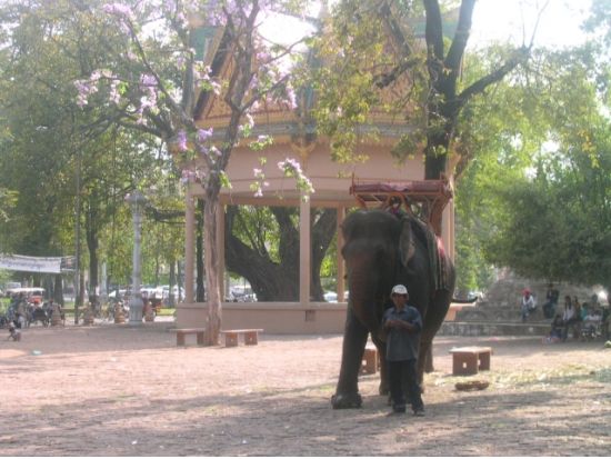 市内観光とセントラル・マーケット　1日チャーターツアー＜プノンペン発／貸切＞