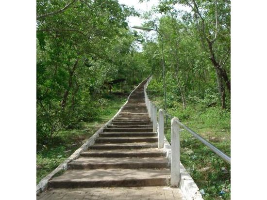 タマウ＆チソー山　1日チャーターツアー ＜貸切／日本語ガイド／プノンペン発＞