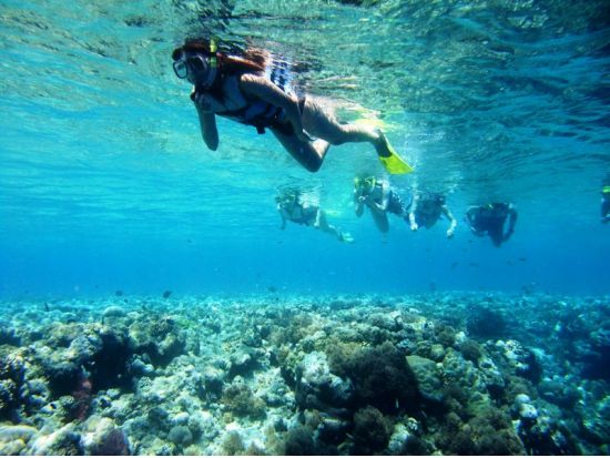 ミルキーウェイ＆ロングビーチ＆カープアイランド　サウスロックアイランド1日ツアー　シュノーケリング体験＜BBQランチ付き／送迎付き＞by IMPAC TOURS