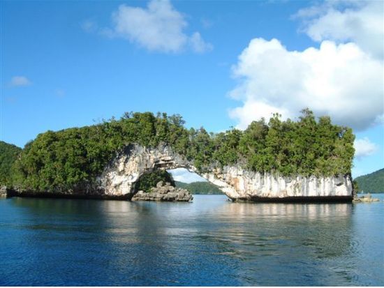 ミルキーウェイ1日ツアー　パラオの自然を満喫！3カ所でのシュノーケリング体験＜昼食付／送迎付き＞by IMPAC TOURS