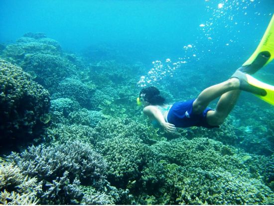 ミルキーウェイ1日ツアー　カヤックでしか通れないマングローブトンネルまたはマリンレイク＆天然泥パック体験＜昼食／送迎付き＞by IMPAC TOURS