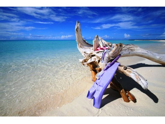 ミルキーウェイ1日ツアー　カヤックでしか通れないマングローブトンネルまたはマリンレイク＆天然泥パック体験＜昼食／送迎付き＞by IMPAC TOURS