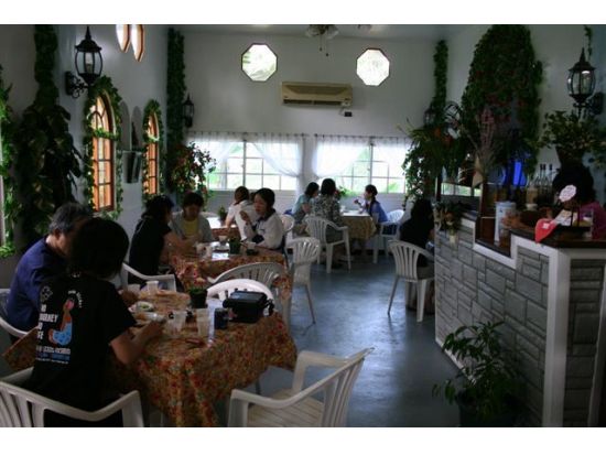 ガラスマオの滝ジャングルトレッキング 半日ツアー＜午前または午後／送迎付き＞by IMPAC TOURS