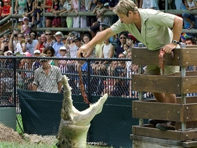 オーストラリア動物園でワニと遊ぼう 動物園送迎ツアー ゴールドコーストの観光 オプショナルツアー専門 Veltra ベルトラ