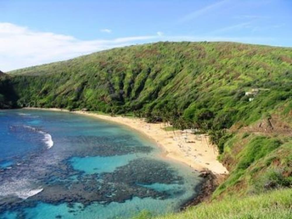 Hanauma Bay Transportation Service with Optional Snorkeling Gear tours ...