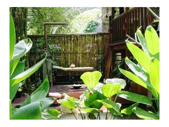 セマナ スパ「The Semana Spa at Villa Semana」棚田や川が流れるウブドの森に佇むヴィラで優雅なスパ＜ウブド地区＞