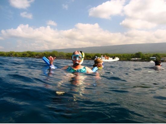 ハワイ島 ケアラケクア湾　シュノーリングツアー ＜軽食付き／英語ガイド＞