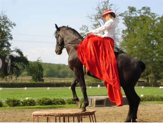 ハンガリー平原・馬術ショー＋王妃エリザベートが愛したグドゥルー宮殿見学ツアー＜貸切／日本語ガイド／昼食付き／ブダペスト発＞