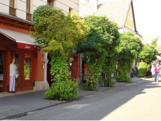 ドナウベンドめぐり 1日観光ツアー＜少人数制／昼食付／日本語ガイド＞ 