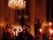 Mozart Dinner Concert