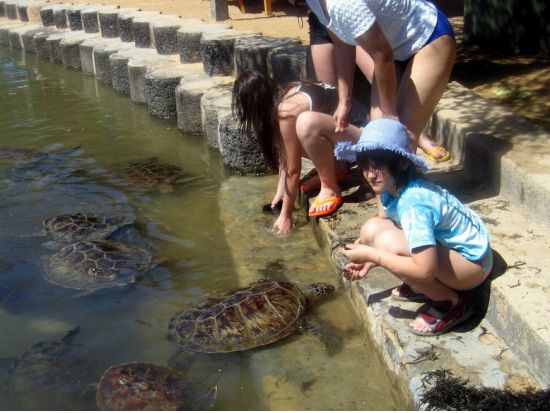 マリンスポーツパッケージ選べるプラン　 パラセーリング、ジェットスキー、バナナボートなど人気アクティビティを満喫！＜南部エリア送迎付＞
