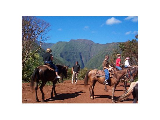 乗馬ツアー　ワイへエ渓谷を巡り、ハレアカラ山頂も望む＜午前・午後／英語ガイド＞