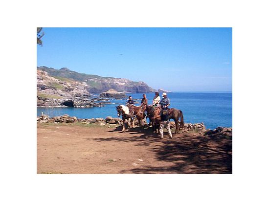 乗馬ツアー　ワイへエ渓谷を巡り、ハレアカラ山頂も望む＜午前・午後／英語ガイド＞