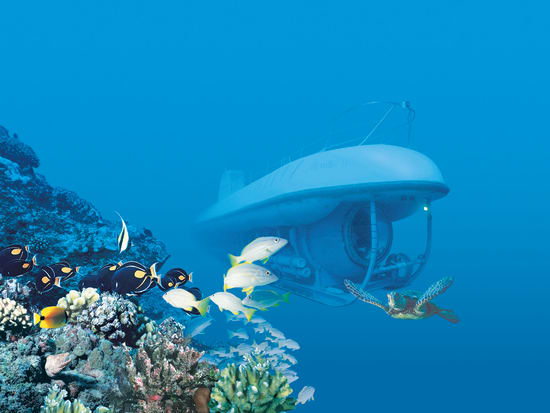 マウイ島 アトランティス潜水艦 ハワイの海底アドベンチャー 日本語オーディオガイド ハワイ マウイ島 の観光 オプショナルツアー専門 Veltra ベルトラ