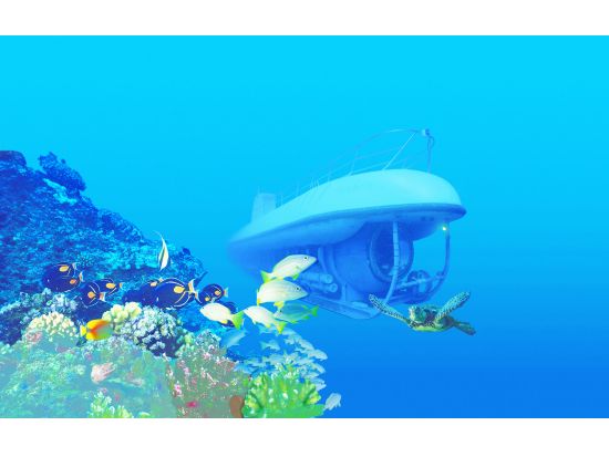 マウイ島 アトランティス潜水艦　ハワイの海底アドベンチャー ＜日本語オーディオガイド＞