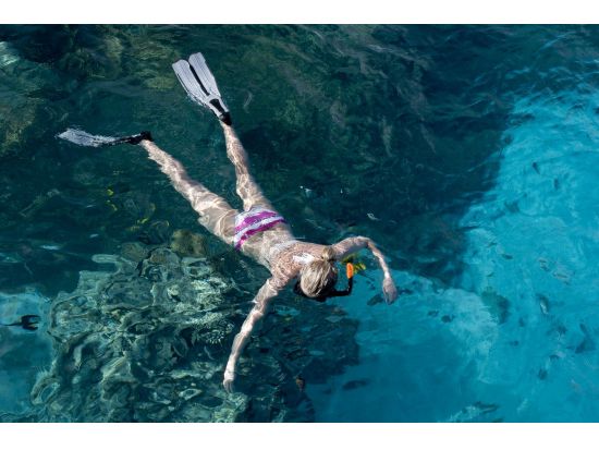 ハワイ島　シュノーケルクルーズ　SUP体験もできる充実ツアー！貸し切りプランあり＜午前／朝食・昼食付き＞ by フラカイ号