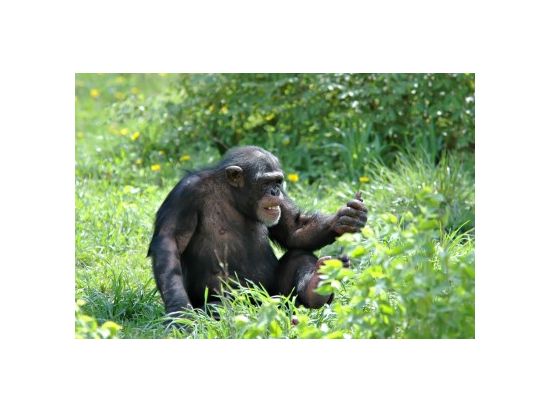 赤道直下の町ナニュキ　ドライブとスィートウォーター動物保護区＜混載または貸切／英語ガイド／昼食付／ナイロビ発＞