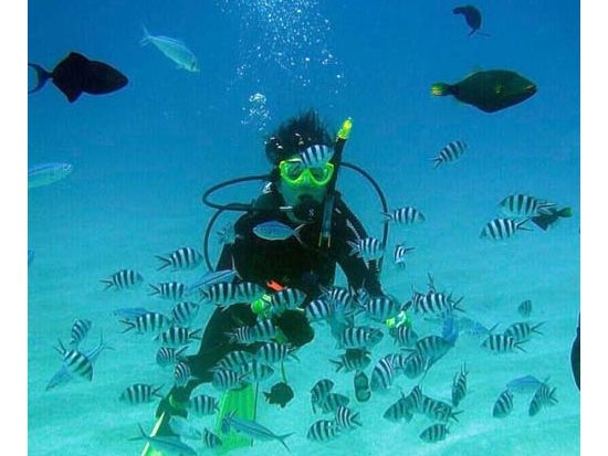 PADI オープンウォーター ダイビングライセンス取得コース 学科はオンライン学習！＜Eラーニング＋2日＞ byレッツダイブグアム