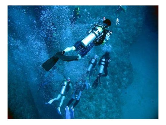 PADI オープンウォーター ダイビングライセンス取得コース 学科はオンライン学習！＜Eラーニング＋2日＞ byレッツダイブグアム