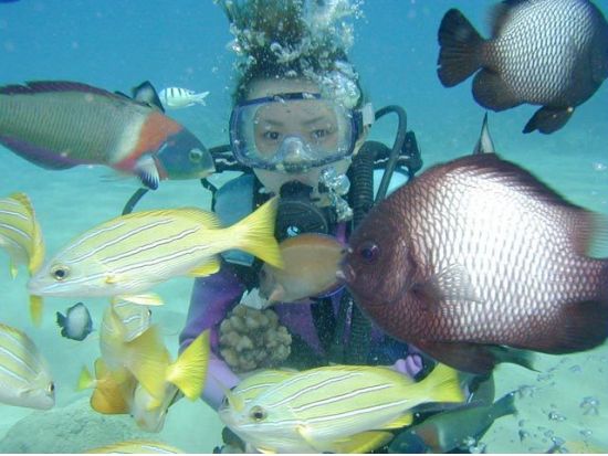 体験ダイビング アラモアナ沖の穏やかな海で気軽にトライ！＜アラモアナ／ビーチ／1ダイブ＞by グランブルー