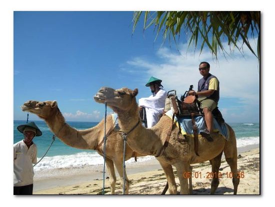 ラクダ乗り体験ツアー＜午前 or 午後／英語＞