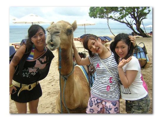 ラクダ乗り体験ツアー＜午前 or 午後／英語＞