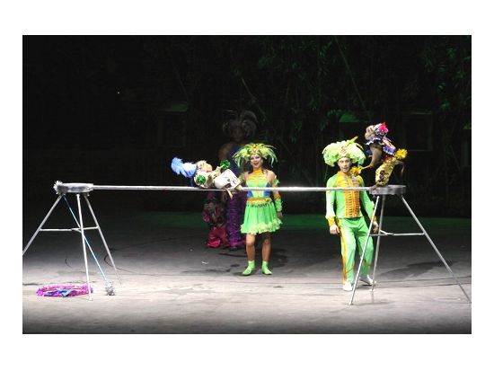 長隆歓楽世界  大サーカス鑑賞ツアー＜広州発＞