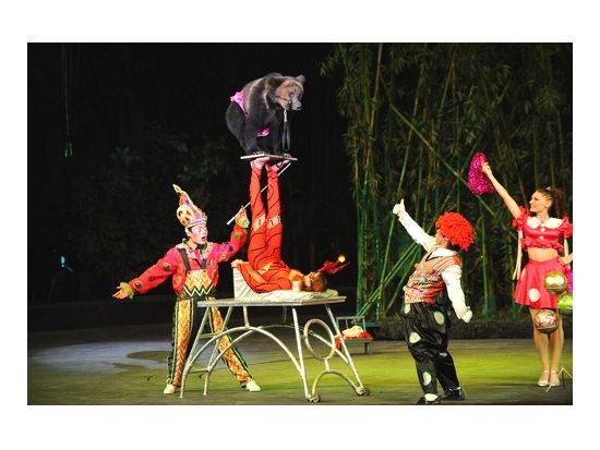 長隆歓楽世界  大サーカス鑑賞ツアー＜広州発＞