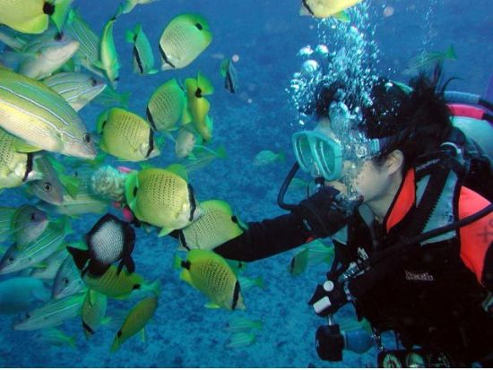 体験ダイビング アラモアナ沖の穏やかな海で気軽にトライ！＜アラモアナ／ビーチ／1ダイブ＞by グランブルー